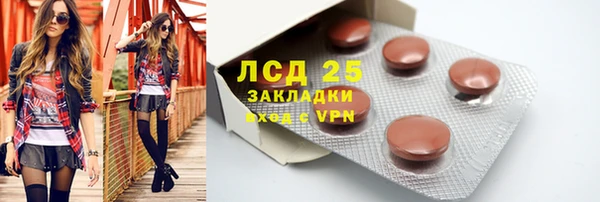 дживик Билибино