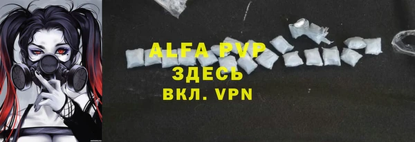 дживик Билибино