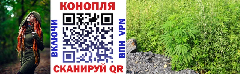 мега вход  Камбарка  Каннабис SATIVA & INDICA 